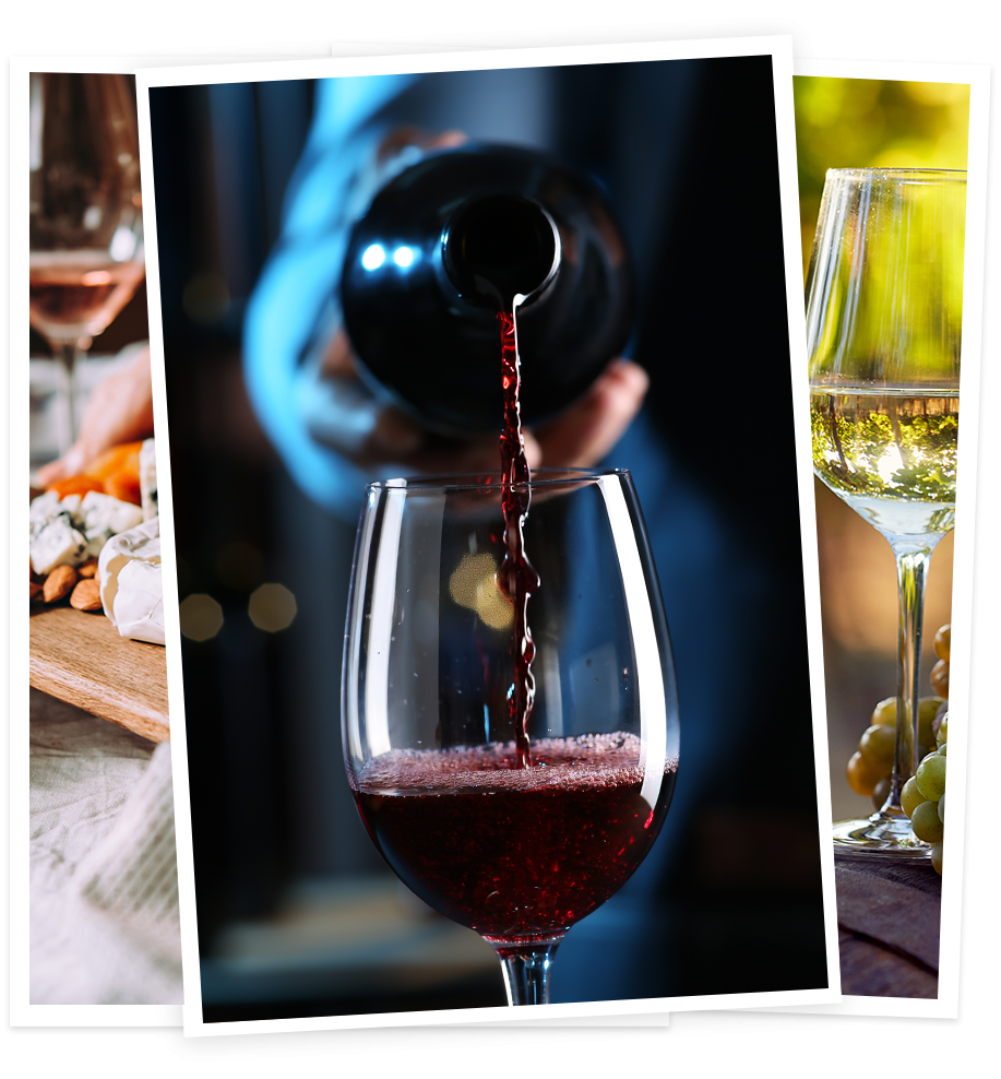 Montage-photo-vins